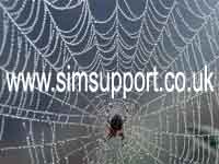 Web